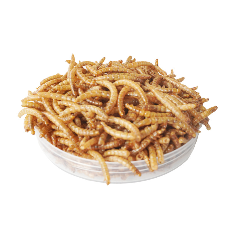 Food Snacks With High Protein - Friandises Riches en Protéines pour Hamsters,