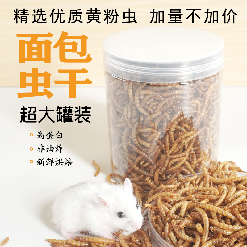 Friandises Riches en Protéines - Food Snacks With High Protein avis et prix