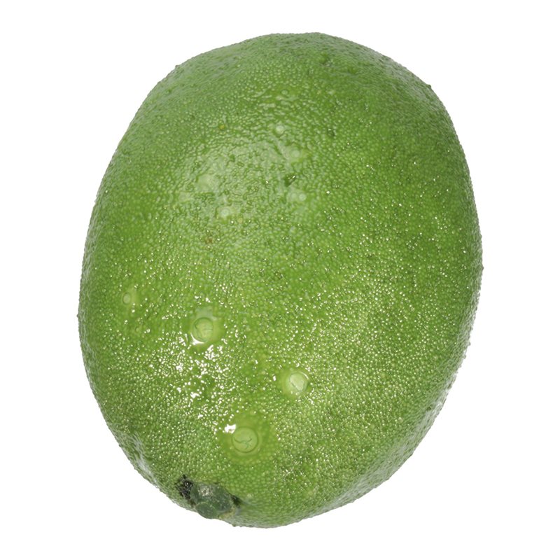 36 X Faux fruits artificiels r - Foods X avis et prix